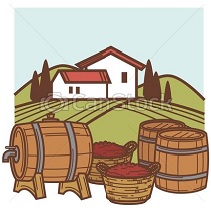 winery-and-vineyard-vector-wine